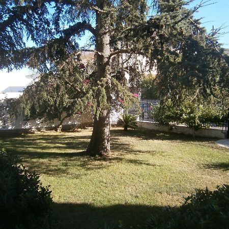 B&B Il Cedro Salve Εξωτερικό φωτογραφία