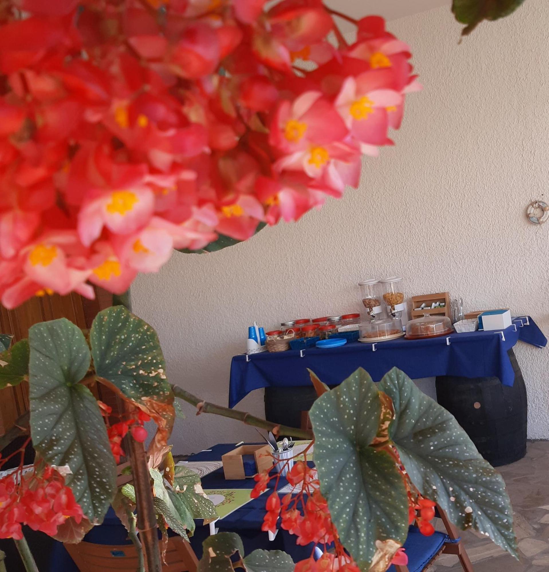B&B Il Cedro Salve Εξωτερικό φωτογραφία