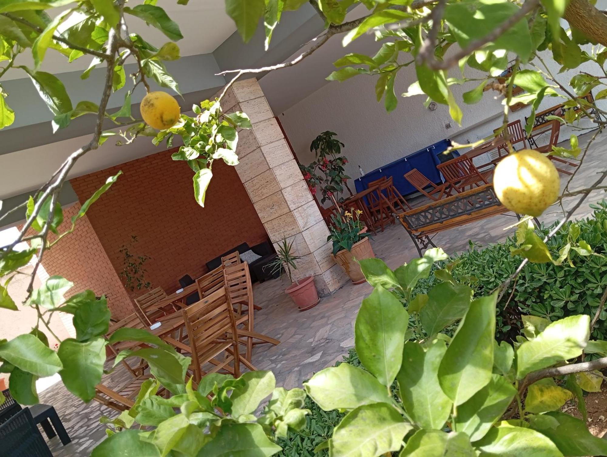 B&B Il Cedro Salve Εξωτερικό φωτογραφία